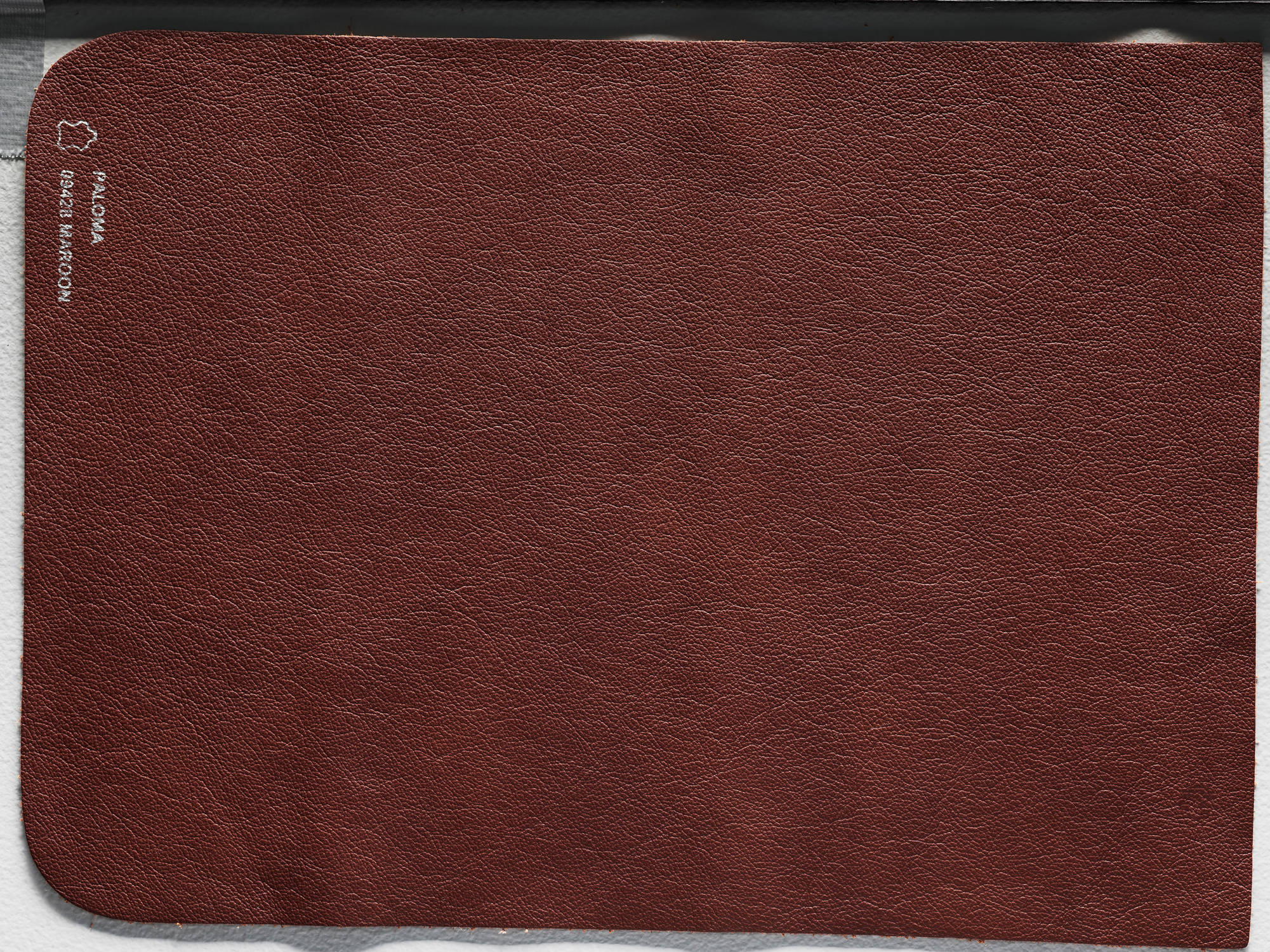 Paloma Leather