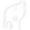 green_again_icon.png