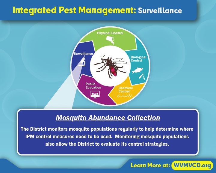 IPM Surveillance - Mosquito Abundance-01