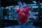 Artificial heart.webp