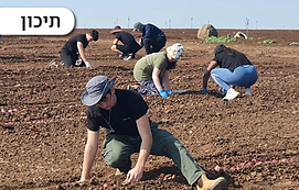 חקלאות, התנדבות, משק, עבודה, חוויה, גורדון, התיישבות, ציונות, אדמה, ארץ ישראל, קשר, משמעות, שייכות, זהות, תרבות