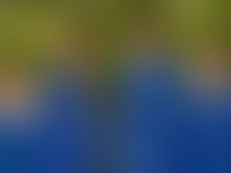 Addingham has a new King and Queen.