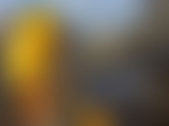 Annual Great Ilkley Duck Race returns next month