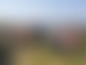 Explore Ilkley Moor with Friends of Ilkley Moor events