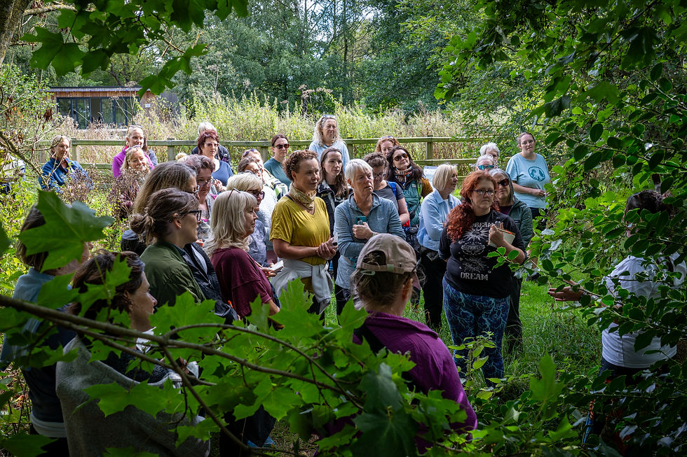 One Wild Night brings 100 women together at Nell Bank