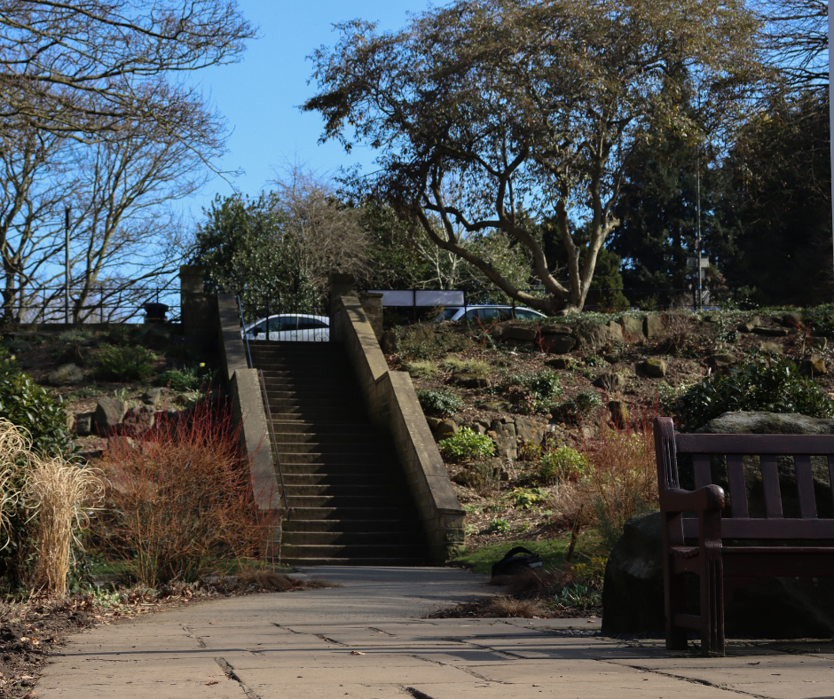 [Photo: Niamh O'Hearne]