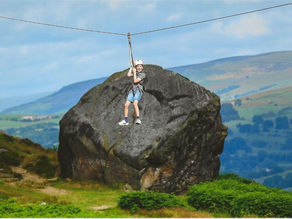‘Udderly’ thrilling Zip the Cow raises thousands for Sue Ryder