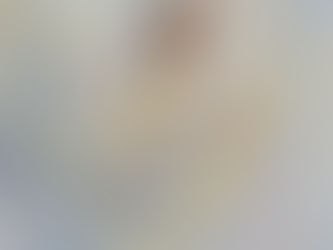 Manor House to host exhibition from renowned artist