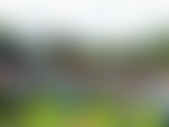 'Wacky entertainment' at 2023 Ilkley Food & Festival