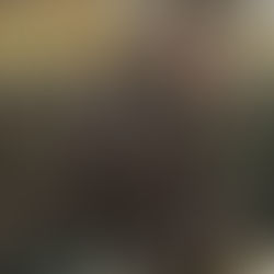 Community spirit sparkles at Ilkley’s Christmas Tree Festival