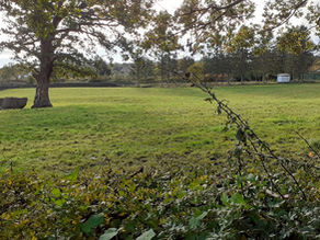 Ilkley Town Council invites applications for green spaces grant