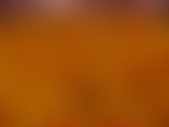 WINNERS: Duck raffle replaces duck race due to lack of water!