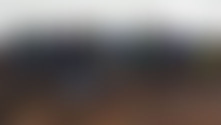 Volunteers plant 2,000 Sphagnum Mosses to restore Ilkley Moor blanket bog