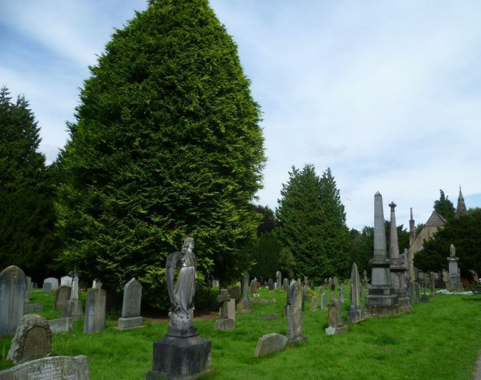 A guided walk of the tree trail around Ilkley Cemetery will take place on Saturday 30th August
