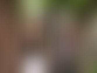 Clarke Foley window replacement project underway