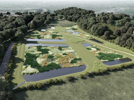 Yorkshire Water begins work on Ilkley wetland