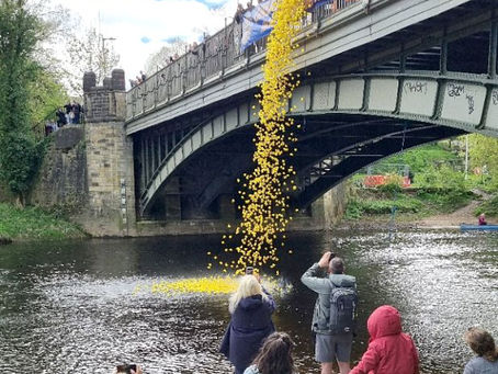 Sun shines on successful Great Ilkley Duck Race
