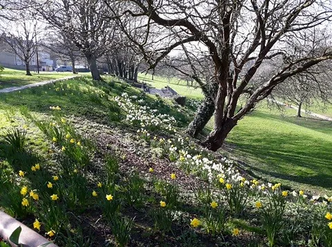 Friends Of Ilkley Riverside Parks Call For Help Friends Of Ilkley Riverside Parks Call For Help