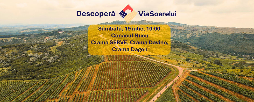 Descoperă Via Soarelui! Ed. 1