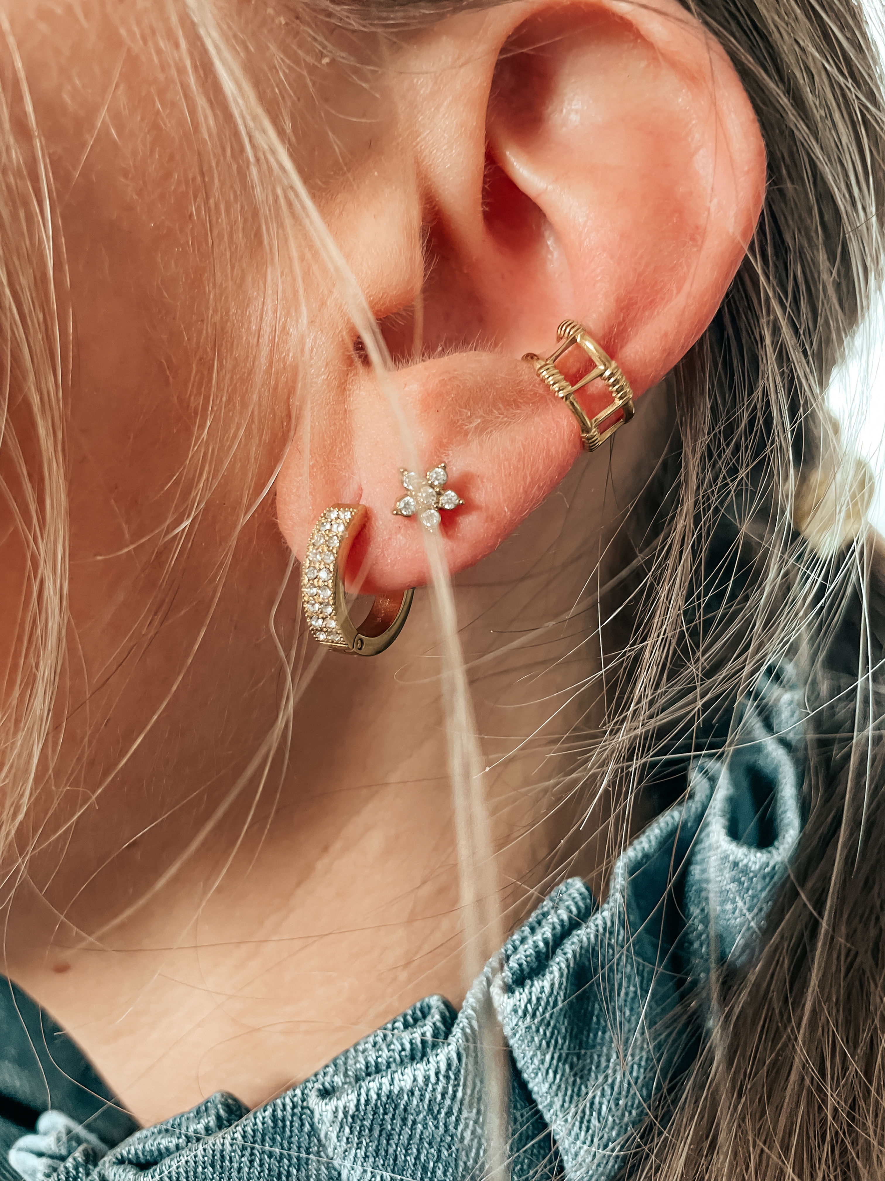 Puces étoile — Gaïa