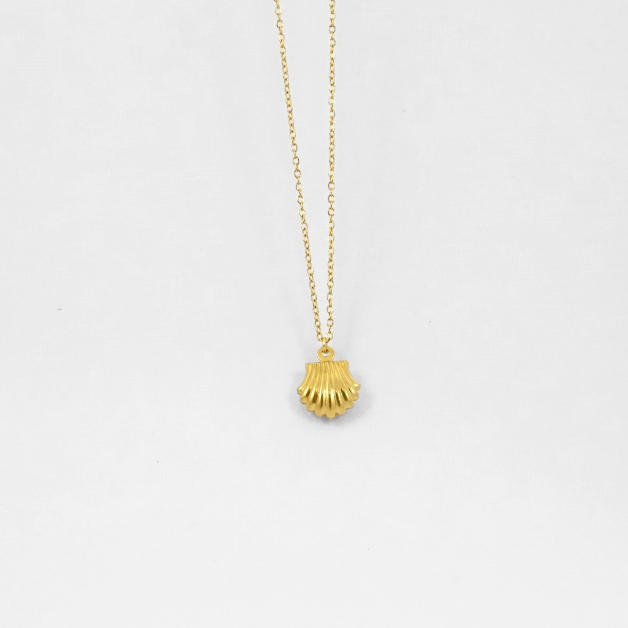 Collier fin, la chaîne est décorée d'un joli coquillage doré