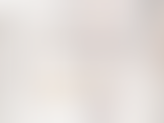 colier en acier inoxydable 