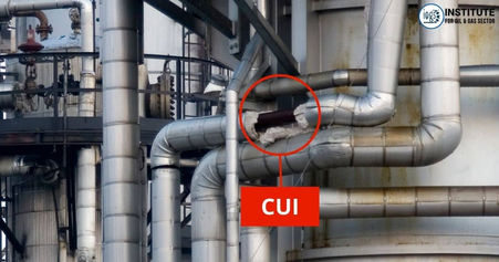 BASIC STRATEGIES TO DESIGN AND MAINTAIN THE INSULATION SYSTEM