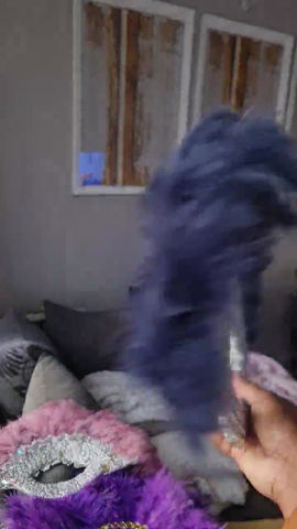 Thumbnail: Ghanian feather fans (waaiers)