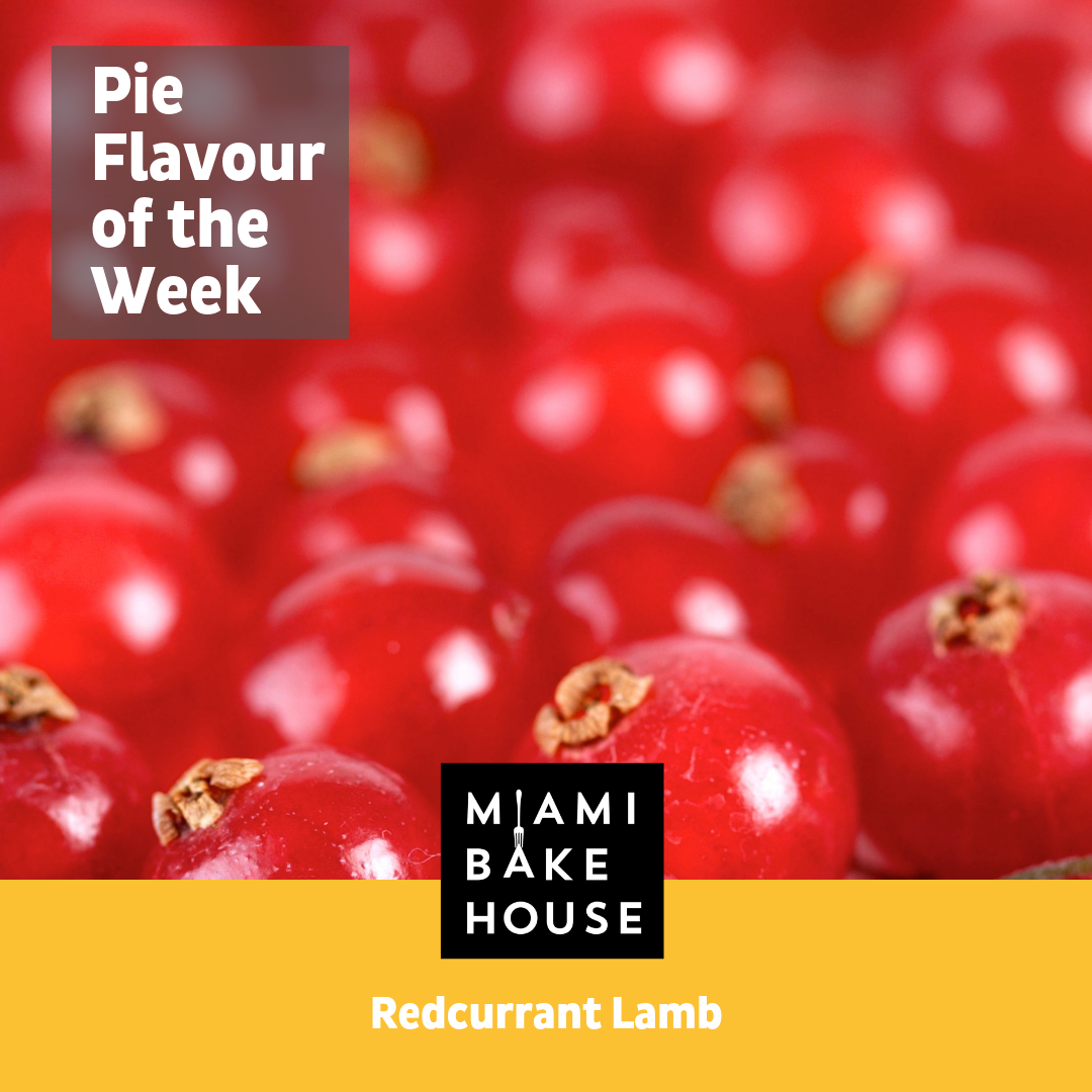 Pie of the Week Redcurrant Lamb