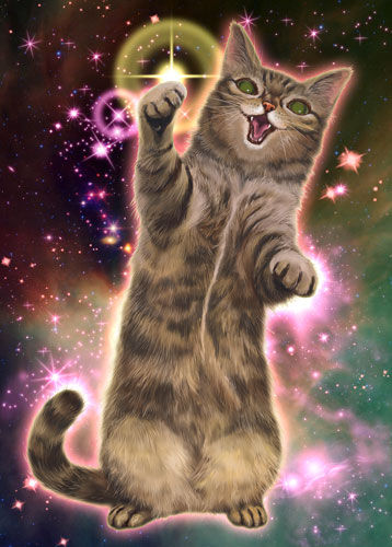 宇宙にゃんこ