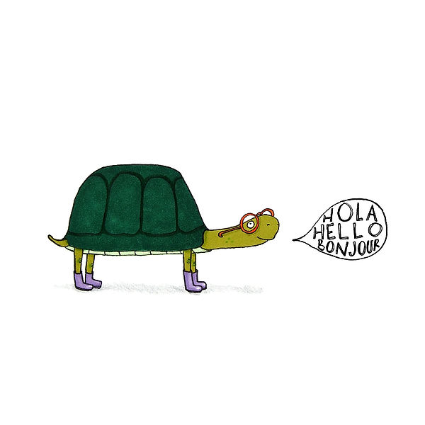 An illustration with a turtle with glasses, inviting people to contact author Laura Wippell.