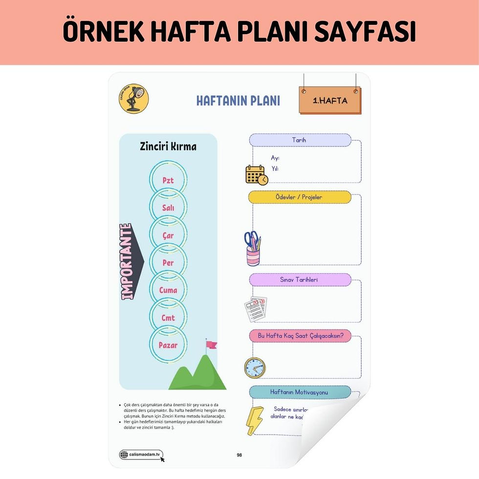 Küçük resim: 5 Ayda AYT Bitirme Programı - Sayısal - Premium - Pdf