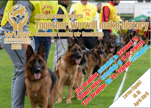 WUSV SIERGERSHAU 2023 LERMA.jpg