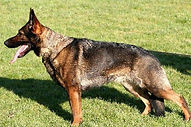 argonne deena_edited.jpg