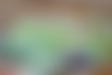 The Website is ALIVE