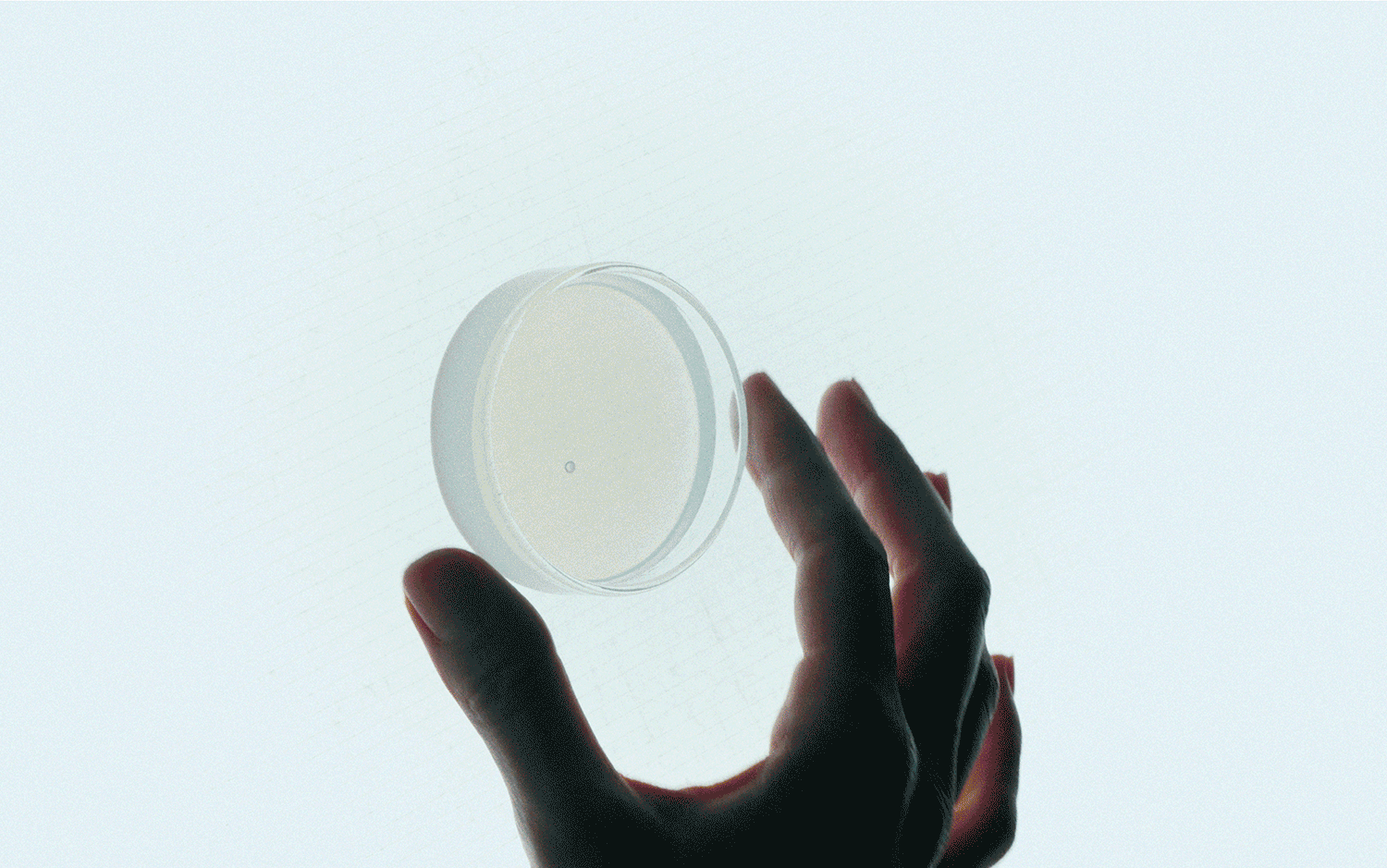 Pont™ _ La práctica del rendimiento