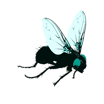 Projecto Ruínas (1080 x 1350 px) (6).png