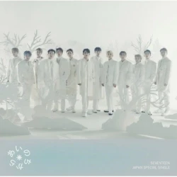 SEVENTEEN あいのちから　ラキドロ　コンプ　トレカ　コンプリート NEWS | SEVENTEEN Japan official site