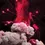 Miniature : NCT 127 - Cherry Bomb - Mini Album Vol. 3