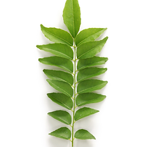 RVL-CurryLeaf_Ingredienten.png
