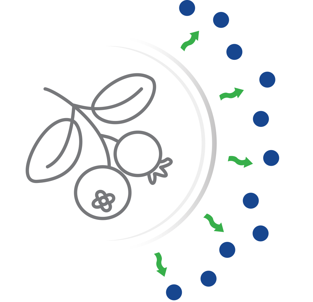 BERRIESHIELD-2.gif