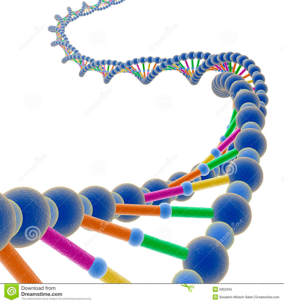 dna-1-6352334