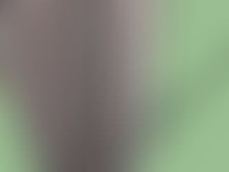 Andean coaster and Cable Car, a wealthy combination at the high mountains!