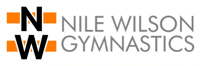 Nile Wilson logo option 1