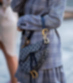 Inspiration design - Dior saddle bag