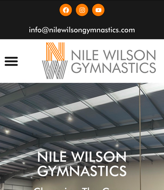 Nile Wilson logo option 3