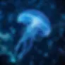 Inspiration design - a jellyfish