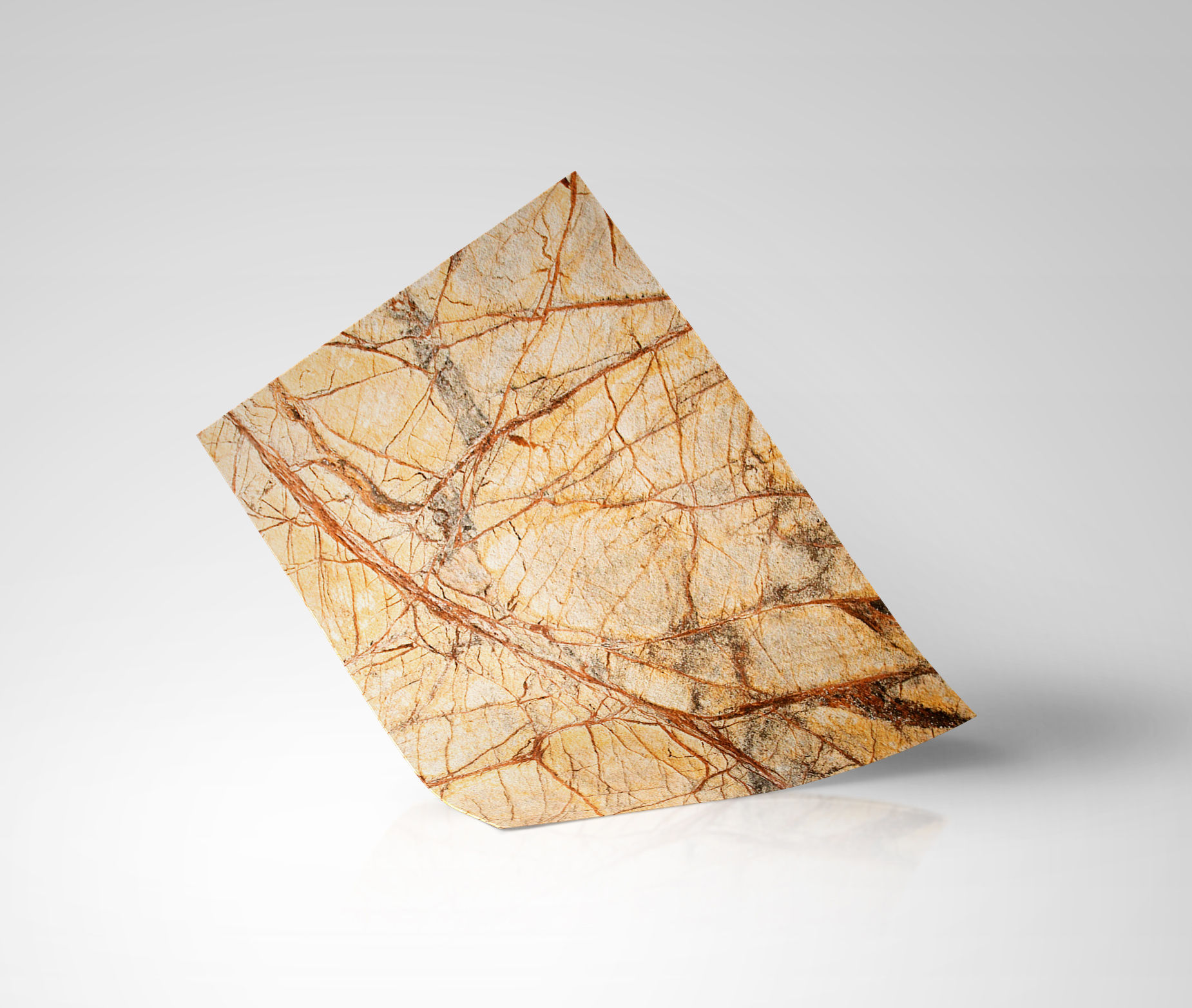 ECHANTILLON Rainforest Brown Bright