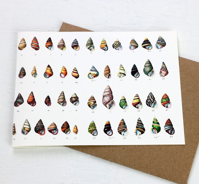 Card by Fairhope, Shells