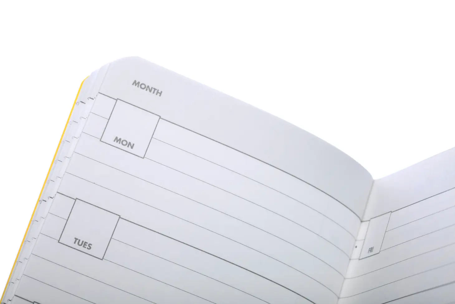 Cottonwine Field Notes